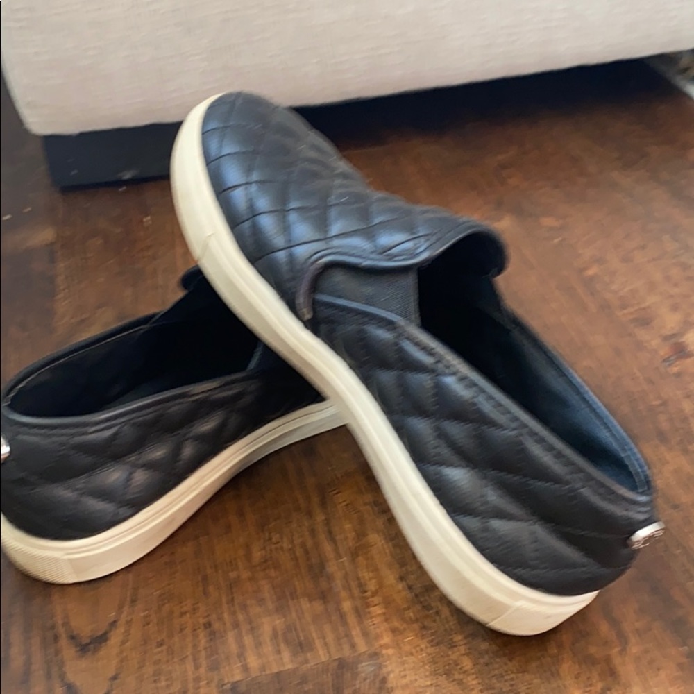 Steve Madden